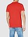 Pepe Jeans Vincent GD Polo, Rojo (Brick 262), Large para Hombre