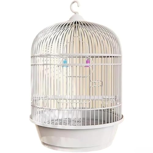 Dearolling X`[ IJCRpP[W P[WEANZT CeA ^щ\  Zbg L[CR Eh ZLZCCR ϋv    o[hpi o[h XeX  (zCg,