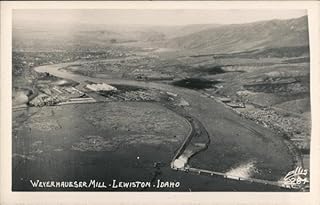 Weyerhaeuser Lumber Mill Lewiston Idaho Original Real Photo Postcard (RPPC)