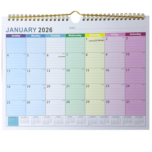 VIDSTW Calendrier 2026 2027 30 x 22 CM Calendrier Familial 2026 2027 Carton Épais Planning Familial Motif Couleur 7 jours pour Maison Bureau l'école l'hôtel (Utilisable Janvier 2026 à Juillet 2027)