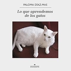 Diseño de la portada del título Lo que aprendemos de los gatos