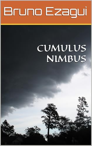 CUMULUS NIMBUS