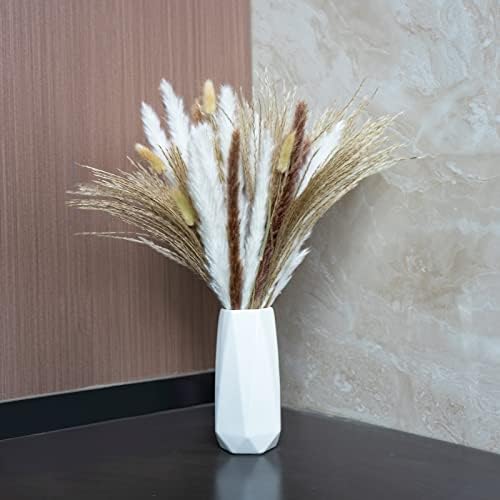 60 Pcs Natural Dried Pampas Grass Set Fluffy and Swinging Boho Plant for Wedding Dried Flower Arrangements Home Decor, 44x7x7