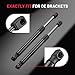 6549 13in/138Lb Hood Struts Lift Supports Car Hood Holder BDFHYK Gas Spring Compatible with Ford Taurus 2010-2019, Police Interceptor Sedan 2013-2019,Special Service Police Sedan 2015-2018 w/o Spoiler