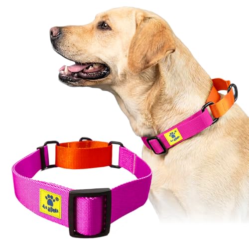 Image of A+a Pets Martingale Dog Collar | No Pull Design, No Neck Strain, No Choke Design | for Large & Medium Dogs | Rust Free, Waterproof Nylon Training Collar (Pink & Orange), 30 x 2.5 cm