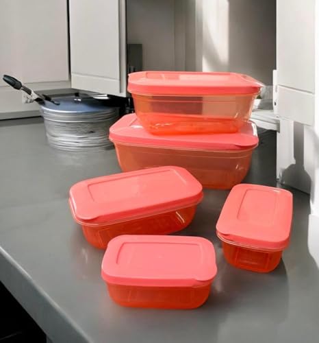 Image of C.S.M CSM Rectangular Plastic Food Storage Container with Air Tight Lid Kitchen Container Meat Box Fridge and Freezer Storage Boxes Bowl - 100ml, 150ml, 290ml, 580ml, 1000ml, 5 Pcs, Clear