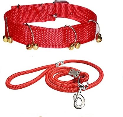 SENAPATI Dog Belt Combo of Ghungroo Dog Collar with Red Dog Lead Specially for Medium Breed Dog Collar Leash (Red) (RED) (B09YHT73BY) Amazon Price History, Amazon Price Tracker