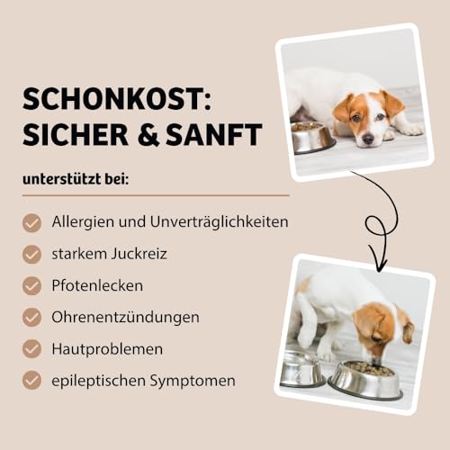BugBell 800g HighSensitive - Premium Trockenfutter mit Insekten - Hypoallergen Sensitiv Futter für Hunde - Unverträglichkeit & Allergie mit 5 Zutaten - Schonkost Hundefutter trocken für Ausschlussdiät – Bild 4