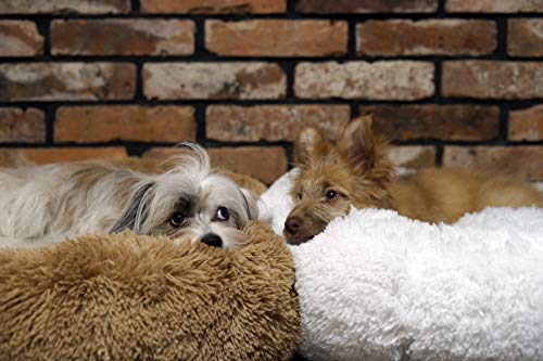 Katzenbett 4L Textil Fuzzy flauschig für kleine Hunde