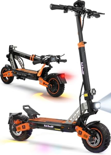 Electric Scooter with 1000W Motor