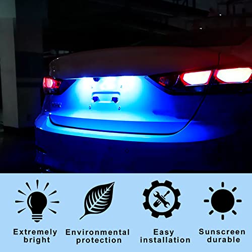 Universal LED License Plate Lights - Blue (6000K), Extremely Bright, for Car, Trailer, UTV, ATV, Truck, RV, Boat