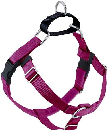 Freedom No-Pull Harness ONLY (1" Wide Large (25"-32"), Raspberry w/Black Loop)