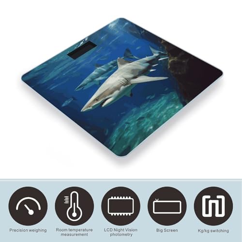 Báscula digital de baño Two White Sharks con pantalla LCD miniatura 3