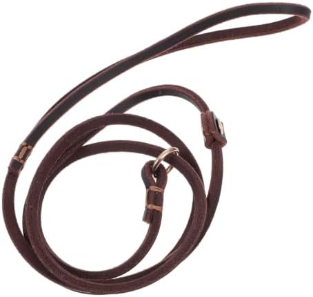Artibetter Leather Dog Leash for Medium Dogs and Puppies, Practical and Hand-Protecting Design, Brown Leather Material Suitable for Camping and Running Activities