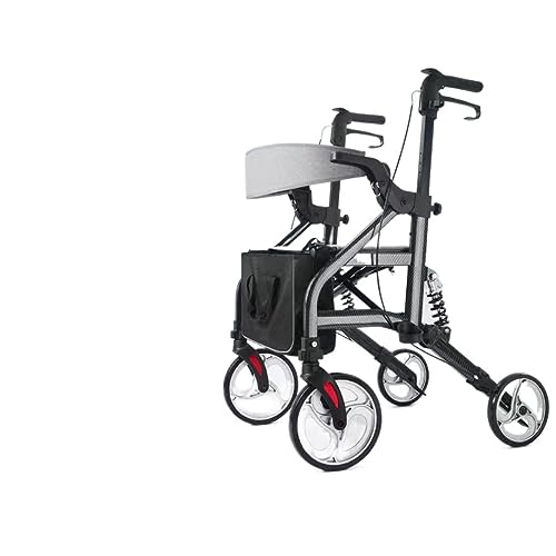 ���s�� ���ʕ��s�� �������\ ���s�⏕�� ��Q�҉����P���p�L�����n�r���� (�������L�Ռ��z�����f���i�y�_���t�j)