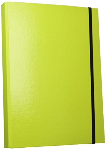 Preisvergleich Produktbild AULFES Sammelbox A4 TREND lime / 21308-75