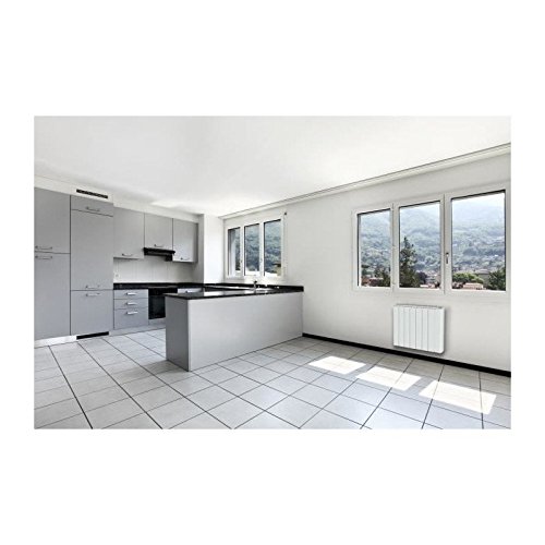 Cayenne NELIA10 NELIA - Radiador de inercia, 1000 W, color blanco brillante