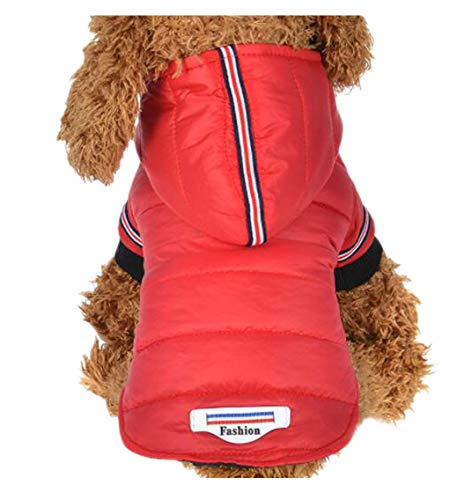 g n OJybg  H~ p p[J[WPbghbOEFA t[ht  h g m h h h ۉ xXg ֗ y U o| (L, bh)