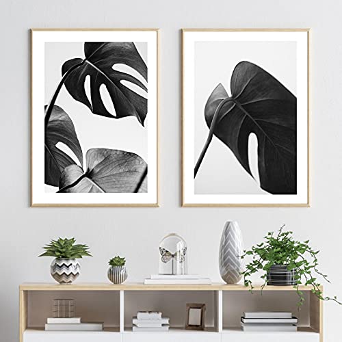 Affiche Monstera Noir et Blanc 50x70 cm | Tableau Décoration Salon Moderne Duos de Toiles