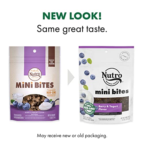 Nutro Mini Bites Small Natural Dog Treats Berry & Yogurt Flavor, 4.5 Oz.(Pack Of 8) #TOP2