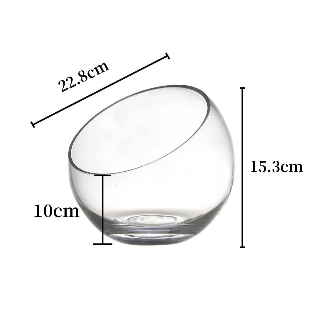 Aquarium botanique en verre biseauté transparent rond 22.8cm