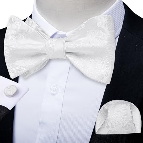 Image of DiBanGu Men Bow Tie Paisley Striped Self-Bow Tie for Men and Silk Woven Bowtie Pocket Square Cufflinks Wedding Party