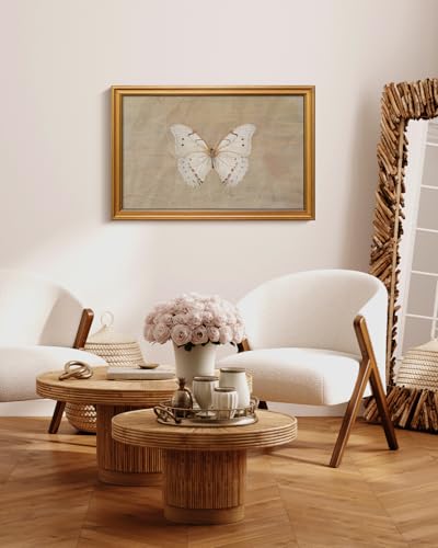 Image of VIYYIEA Vintage Gold Framed Wall Art for Living Room, White Butterfly Canvas Prints Home Decor, Oil Painting Picture, Bedroom Wall Decor Gifts for Friends or Family -【Morpho polyphemus】-(24L x 16W)