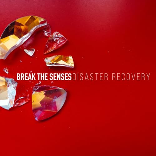Image of Disaster Recovery (Single Version)