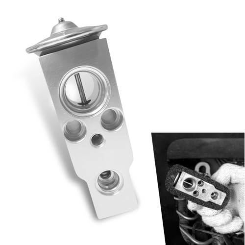 MLY A/C Expansion Valve, Anti-Wear Steam Engine Air Conditioning Valve, 80213TF0G01 19205241 80211-TP5-H11 80221TZ3A41, Universal A/C System Repair Accessories, Compatible with Most Cars