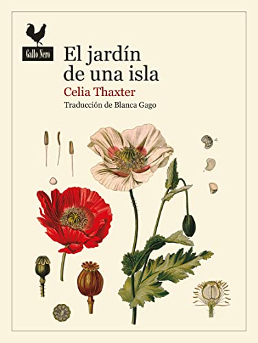 El jardín de una isla: 81 (Narrativas)