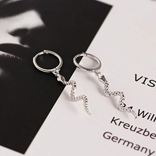 Snake Dangle Small Hoop Earrings 925 Sterling Silver Personalized Punk Drop Animal Earring Huggie Hoops 10Mm Hypoallergenic Fashion Ear Jewelry (Silver) #TOP2