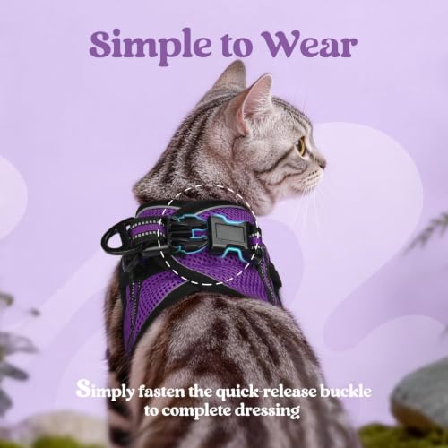 Image of rabbitgoo Cat Harness and Leash Set, Step-in Soft Vest, Purple | Escape Proof, Lightweight, Easy-on & Adjustable, Hook & Loop with Buckle, Reflective, for Kittens & Small Cats Walks, S
