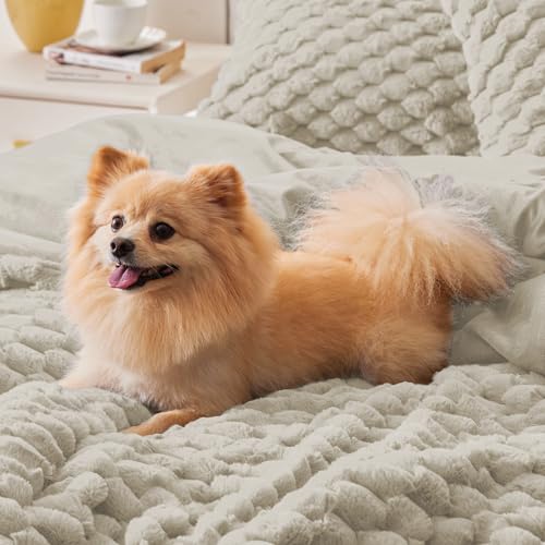 BEDELITE Fluffy Queen Comforter Set - Linen Fleece Soft Comforter for Queen Size Bed, Luxury Warm Bedding Set for Winter, Fuzzy Bed Set 3 Pieces (1 Comforter, 2 Pillowcases)