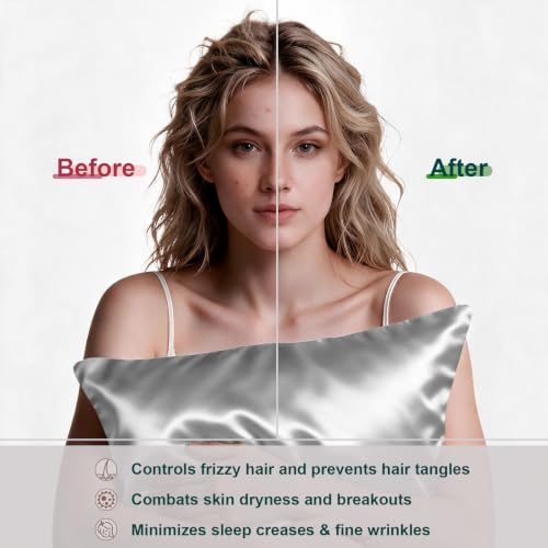 Image of LYSHIN Silk Pillow Cases 2 Pack Queen Size with Zipper, Silver Grey | 19 Momme Mulberry Silk Pillowcase for Skin and Hair, Anti-Acne, Hypoallergenic, Cooling, Beauty Sleep, Gifts for Women