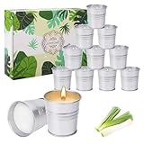 Photo Gallery liaila 12 candele citronella esterno naturali, ideali per balconi, terrazze, candele profumate. possono essere usate come regalo. candele citronella hanno una durata di 240 ore Photo Gallery liaila 12 candele citronella esterno naturali, ideali per balconi, terrazze, candele profumate. possono essere usate come regalo. candele citronella hanno una durata di 240 ore