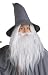 Rubie's Costume The Hobbit Gandalf Beard Kit