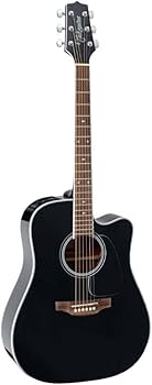 m*4様 Takamine DSP-015 TBS m*4様 Takamine DSP-015 TBS m*4様 Takamine DSP-015 TBS