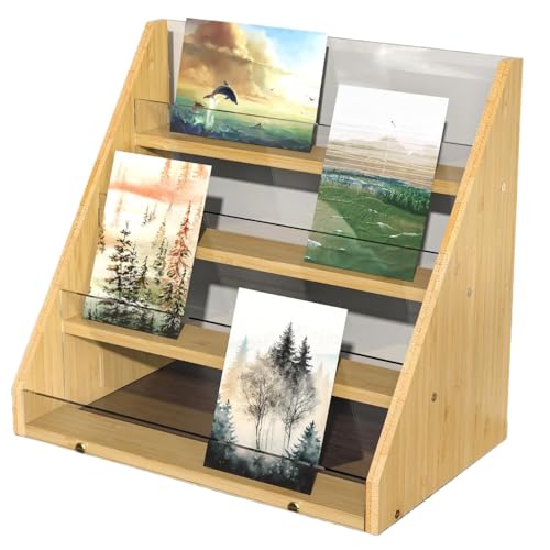 Angoda J[h[bN hfBXvC ͂WI | AN  w\ O[eBOJ[h ʐ^   a CeA  X (ؐF)