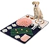 Dog Feeding Mat with Puzzles