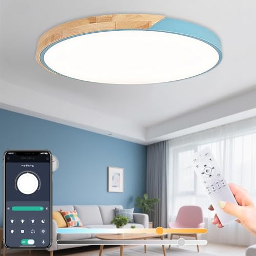 DEMILA V[OCg led  ؖ 6 8 10 12 | Rt _ k CeA Ԑ Ɩ V a rO Q ^C}[ Hsv {tiu[Ea40cmj