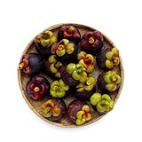 50 piezas semillas mangostán - comprar resistentes al jardín, semillas organicas jardín interior de