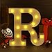 Marquee Letter Lights Sign, Light Up Alphabet Letters for Wedding Birthday Party Battery Powered Christmas Lamp Night Light Home Bar Decoration