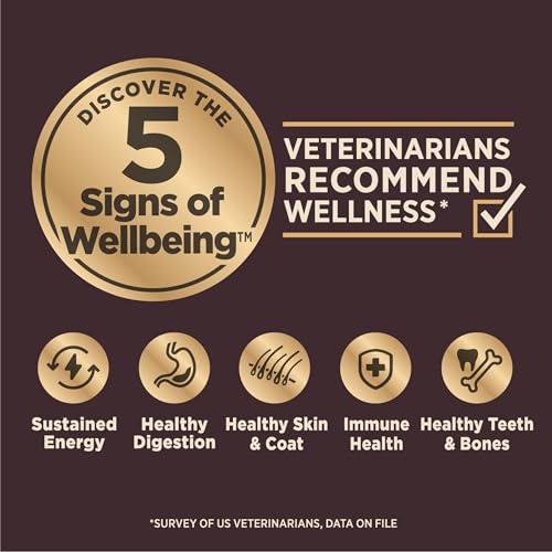Image of Wellness CORE Digestive Health Age Advantage Senior Dry Dog Food, Wholesome Grain Kibble, Sensitive Stomach, Natural, High Protein, Chicken and Brown Rice Recipe, 4 lb Bag