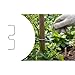 Swiftorus Garden Support for Outdoor Use - M-Shaped Plant Training Tool to Shape and Support Citrus, Apple, and Other Fruit Plants