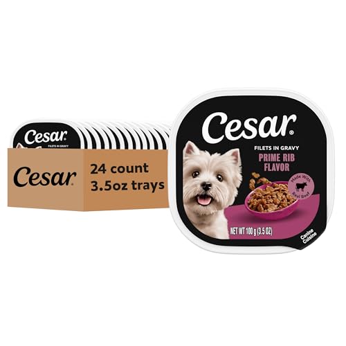 Image of Cesar Filets in Gravy Wet Dog Food, Prime Rib Flavor, 3.5 oz, 24 Count | Real meat, easy to digest, no fillers, no added sugar, no artificial flavors, slow-cooked tender texture, easy peel trays