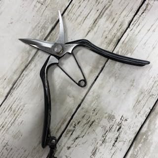 切れ者 芽切鋏180mm 2本 Amazon | 切れ者 芽切狭 180mm | 園芸用はさみ