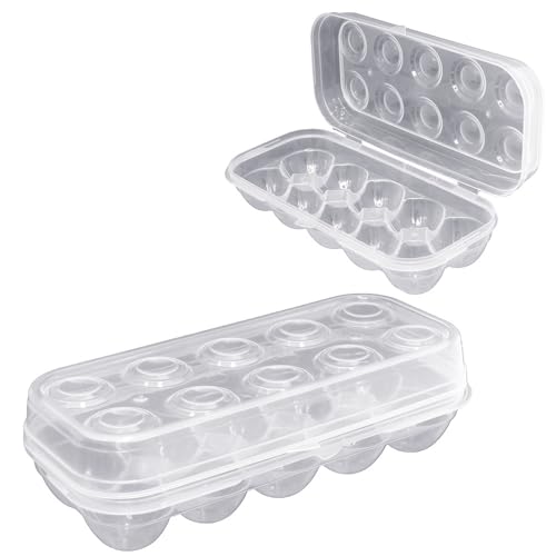 Porta Organizador de Ovos com Tampa - Capacidade Para 10 Ovos