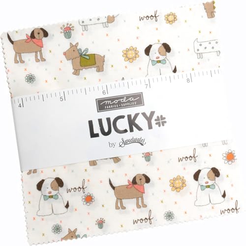 Lucky 42pc Charm Pack 5