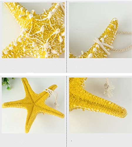 RAYLINE-DO RayLineDo Creative Mediterranean Style Design Beach Starfish Resin Five-Pointed Star in White Home Restaurant Kindergarten Wall Hanging Decoration - Image 3