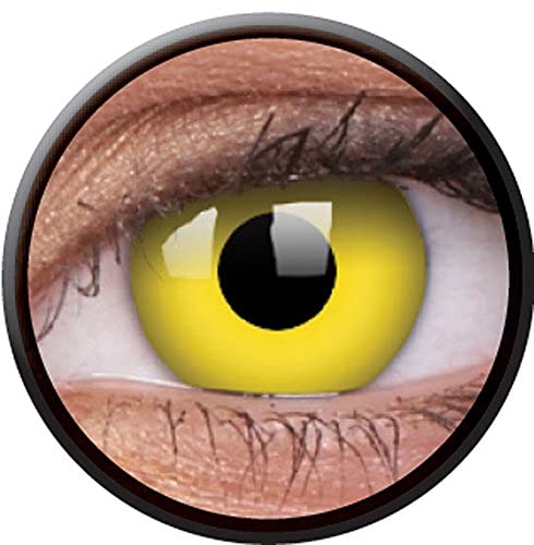 AUGEN Tropical Crazy Lens Yearly Zero Power Contact Lens - 2 Units (1 Pair) (0.00) (Yellow Out)-image-9